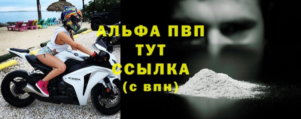 ECSTASY Кукмор